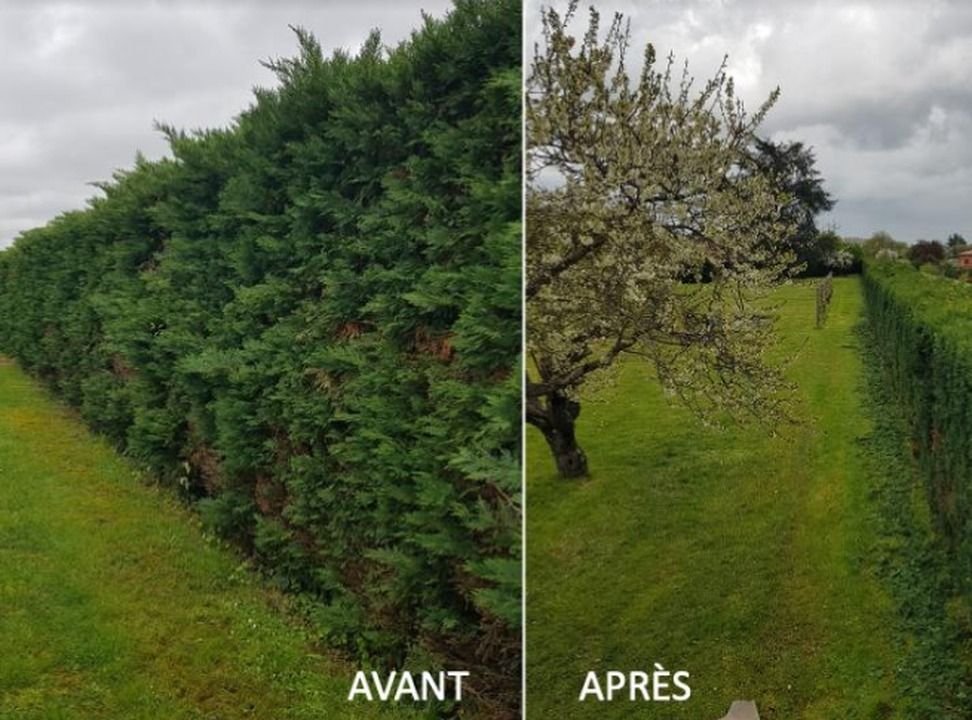 Contrat d'entretien de jardin en Essonne : ce qu'il faut savoir
